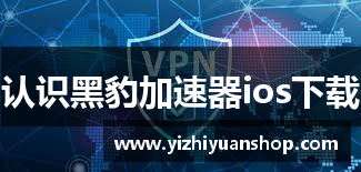认识黑豹加速器ios下载